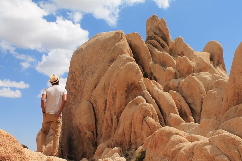 Near Arch Rock - Joshua Tree National Park.