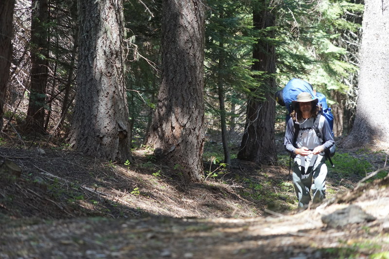 At the trailhead, sometimes the pack is a bit lopsided at the start.