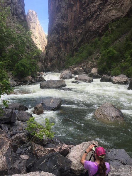 The epic rapids in The Narrows at the bottom of Long Draw.