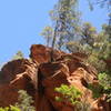 Tree hanging on the edge of the rock!