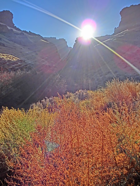 Heading to Jump Creek Falls.