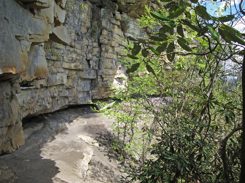 Castle Rock Trail.