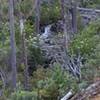 W Fork of York Creek - east fork was dry.