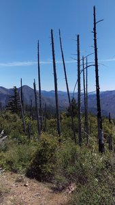 Looking out over the South Fork of Silver Creek basin - A long hot way to go yet.