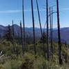 Looking out over the South Fork of Silver Creek basin - A long hot way to go yet.