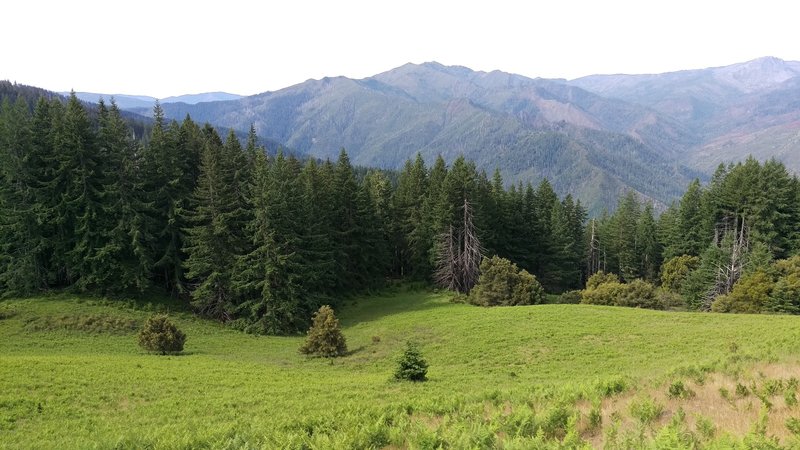 Little Bald Mountain Prairie.