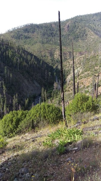 Heading toward Buzzard's Roost. It is an open and dry trail. Several springs along the way with the MOST WONDERFUL smells.