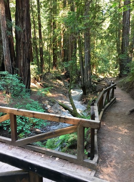 Lovely bridge over Fife Creek.