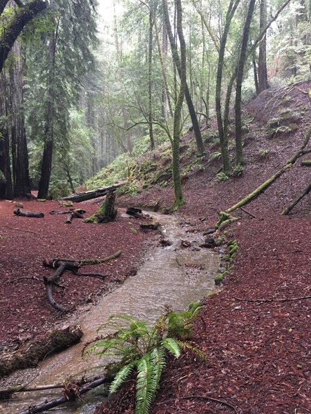 Muddy stream.