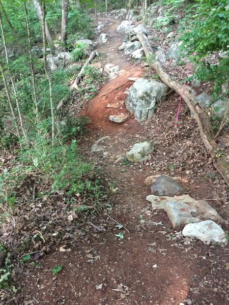 Trail going over dry creek bed, steps on both sides.