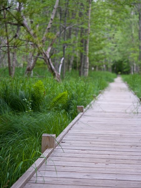 The boardwalk.