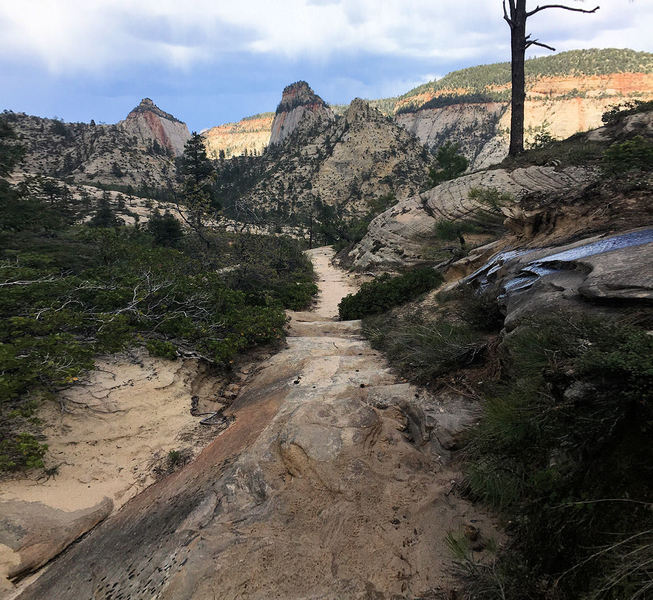 West Rim Trail, Zion National Park.