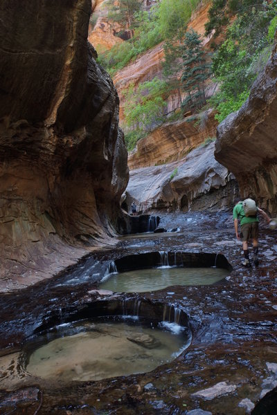 The Subway in Zion National Park.