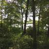 Lake MacBride through the trees from the Angler's Point Trail.