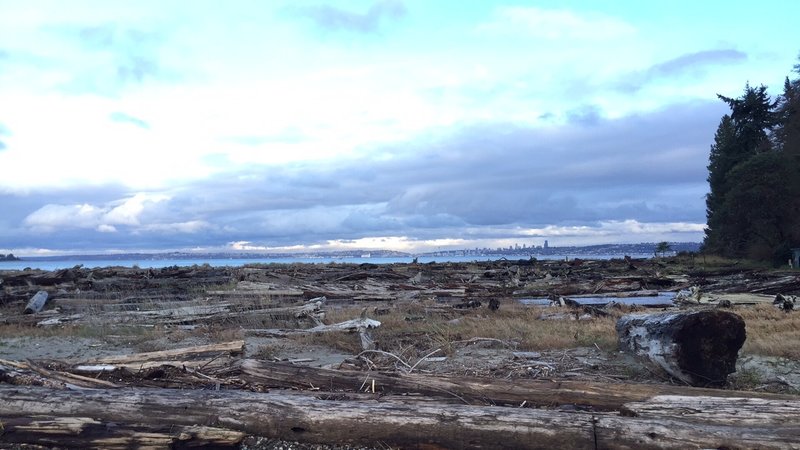 Blake Island NW beach