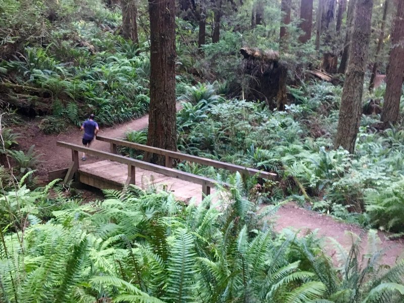 Bridge over Janes Creek.