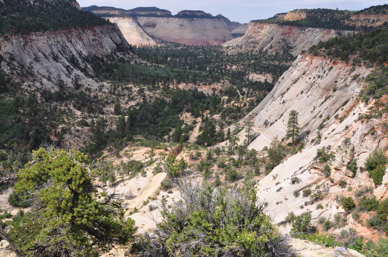 East Rim Trail.