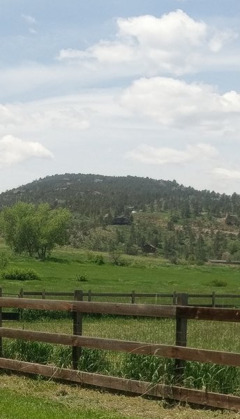 Part of the trail next to the dog park.