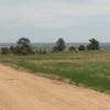 Looking north from a bend in the Indian Mesa Trail.