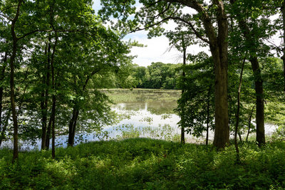 Lake George from the Hobart Woodland Trail.