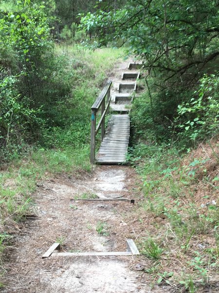 One of the many bridges on the trail.