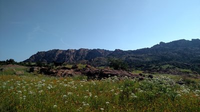 Looking at the mountains.