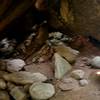 Natural cave in the boulder garden.