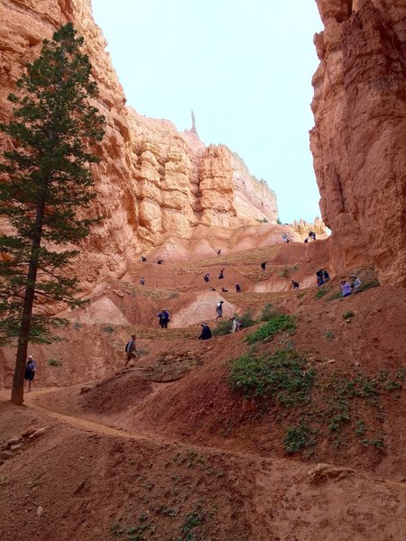 Navajo Trail, Bryce Canyon.
