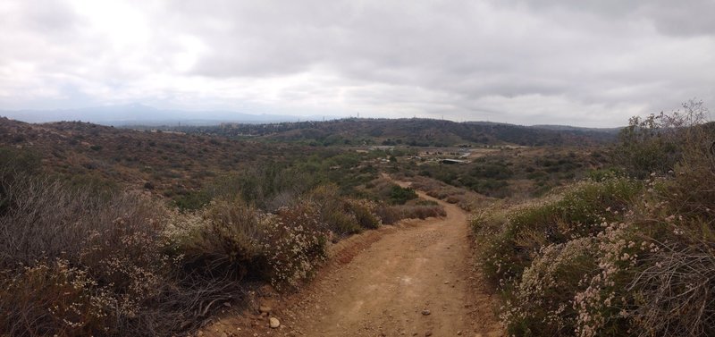 Little Sycamore Trail at Laguna Coast Wilderness Park. Nix Nature Center is below to the right.