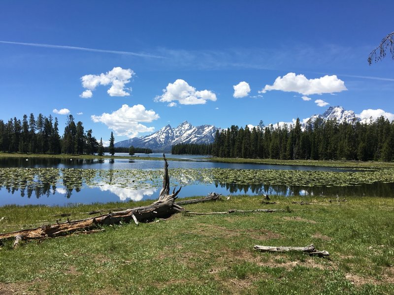 Reflection on Heron Pond.