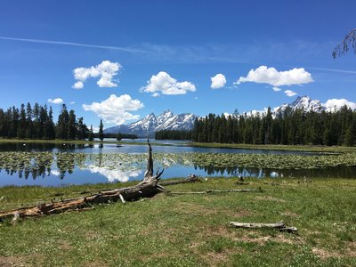 Reflection on Heron Pond.