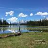 Reflection on Heron Pond.