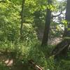 Outcroppings on the shore of the Coralville Reservoir, which the Osprey Trail traverses.