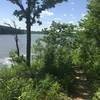 The Coralville Reservoir just beyond the Osprey Trail, looking north.