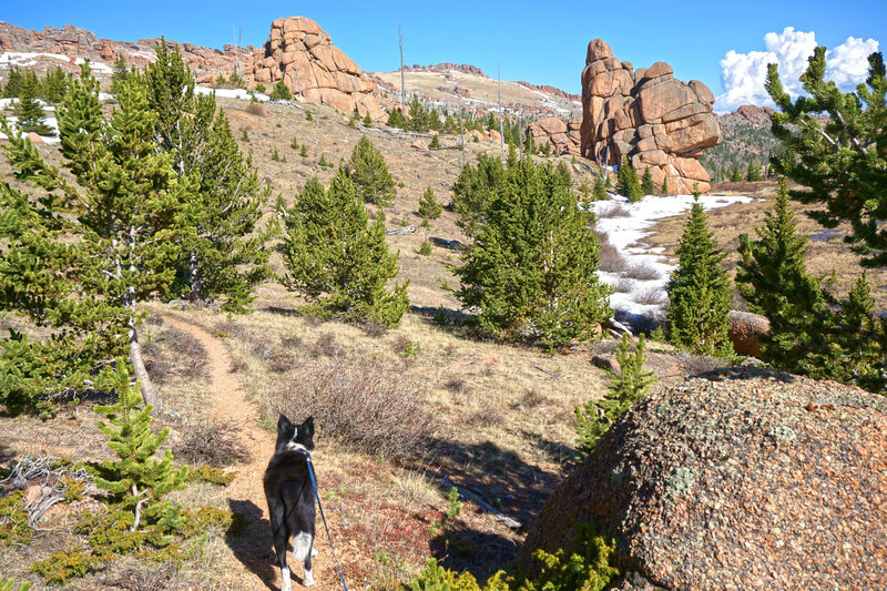 Trail between Bison and McCurdy Peaks.