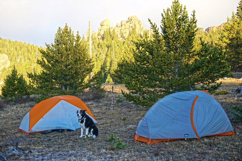 Campsite along McCurdy Creek.