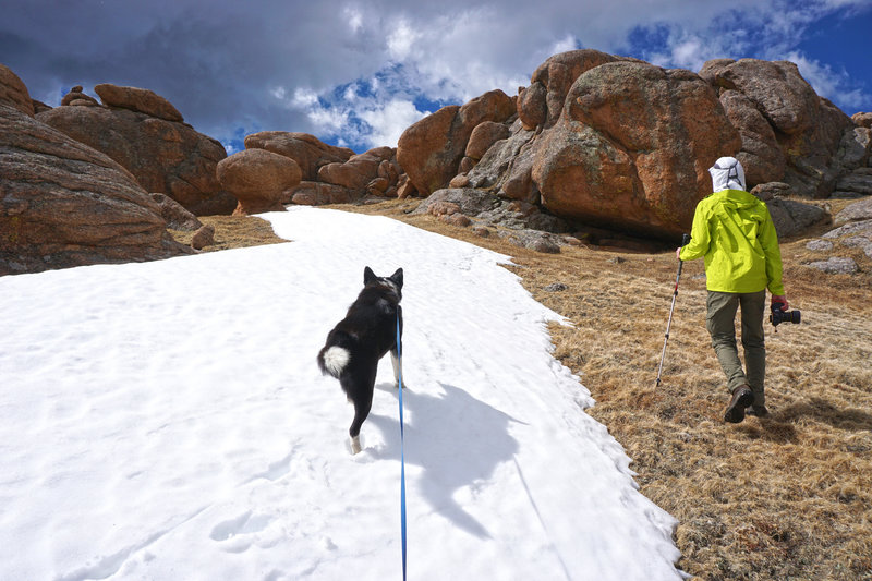 Approaching summit of McCurdy Peak.