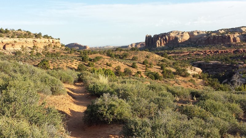 View of sandstone pillars and canyons in distance.