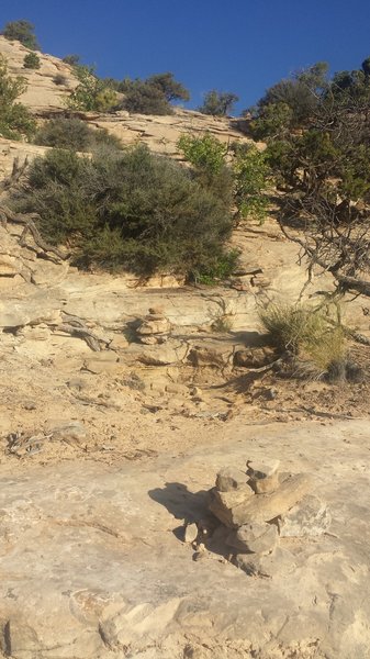 Follow the rock cairns (the piles of neatly stacked rocks) up the sandstone slab to reach the top of the mesa.