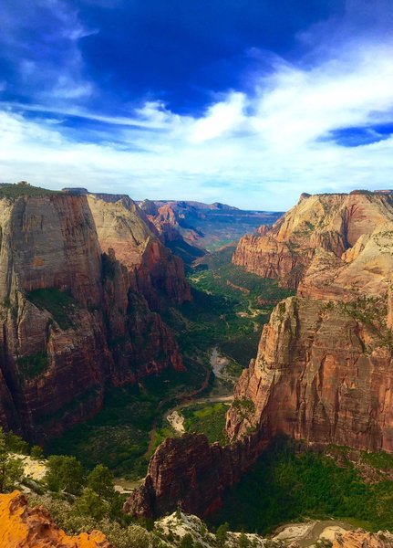 Observation Point