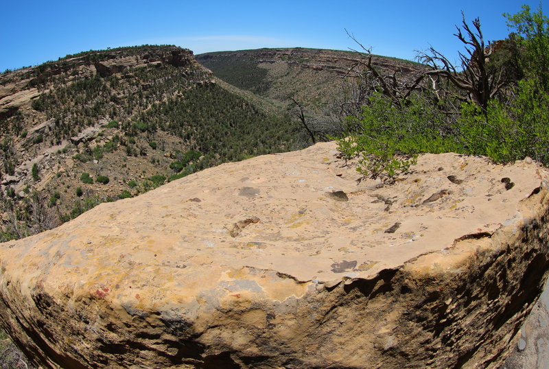 Sandstone boulder at the Nordenskiold Trail overlook.