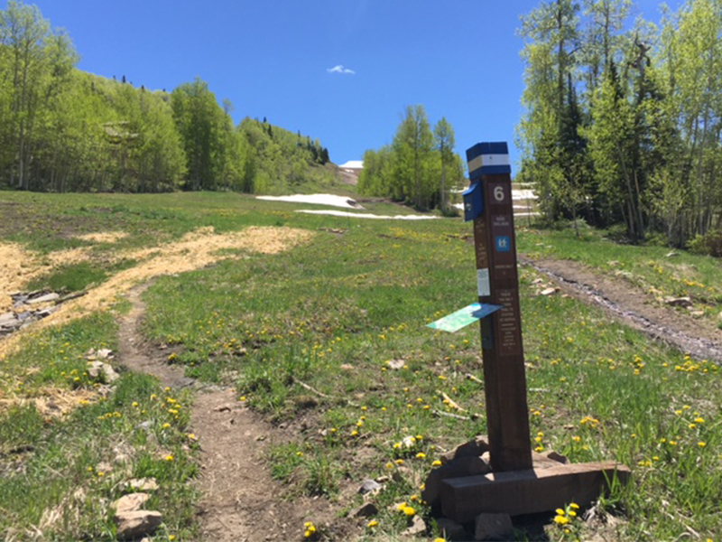 This is the trailhead from the base of the Gondola in Mountain Village.