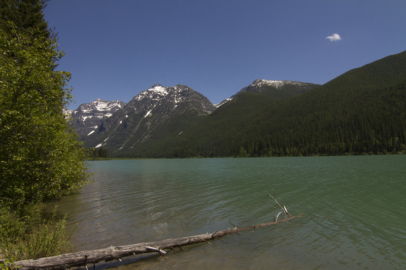 View on the shores of Harrison Lake.