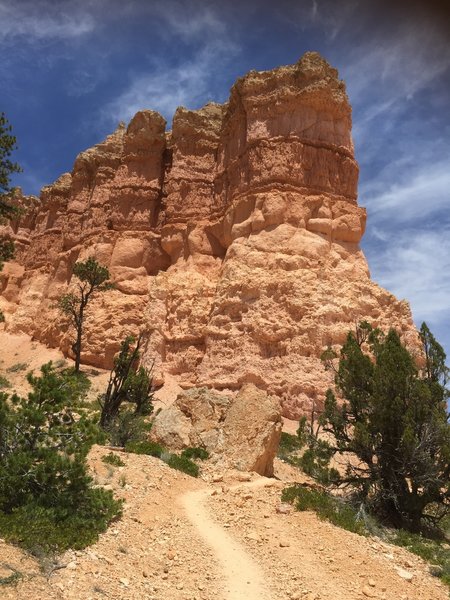 Fairyland Loop, Bryce Canyon National Park.