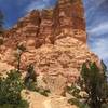 Fairyland Loop, Bryce Canyon National Park.