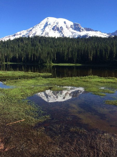 Mt. Rainer reflecting pond.