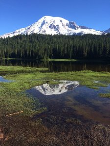 Mt. Rainer reflecting pond.