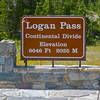 At Logan Pass.