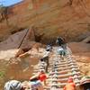 This Cliff Dwelling Tour is only for the most adventurous.