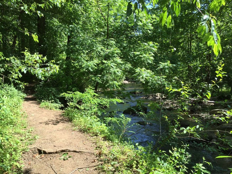 Graves Mill Trail next to the Rapidan River.